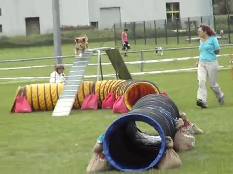 mini aussie degré3 monthey