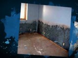 Water Removal Mold Removal Paterson CALL 1-800-892-0452