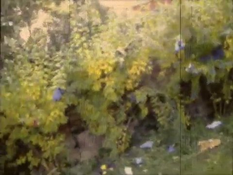 Slim Robert, il pleut des hommes