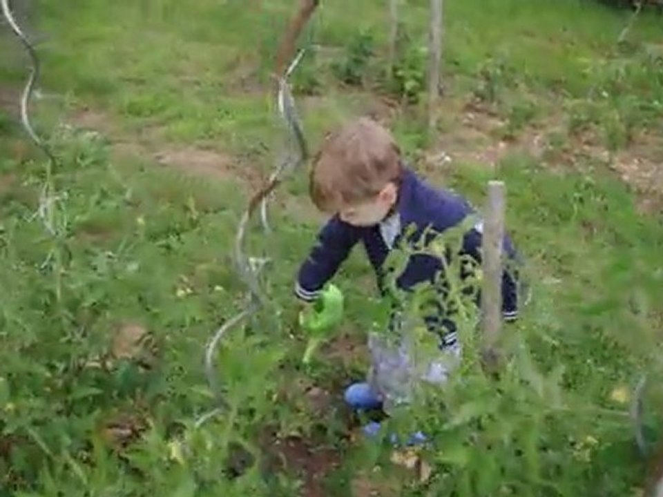 Alan arrose les tomates