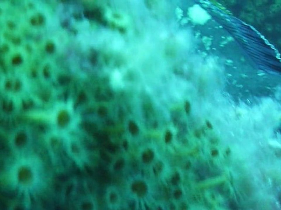 Ne m'énervez pas SVP