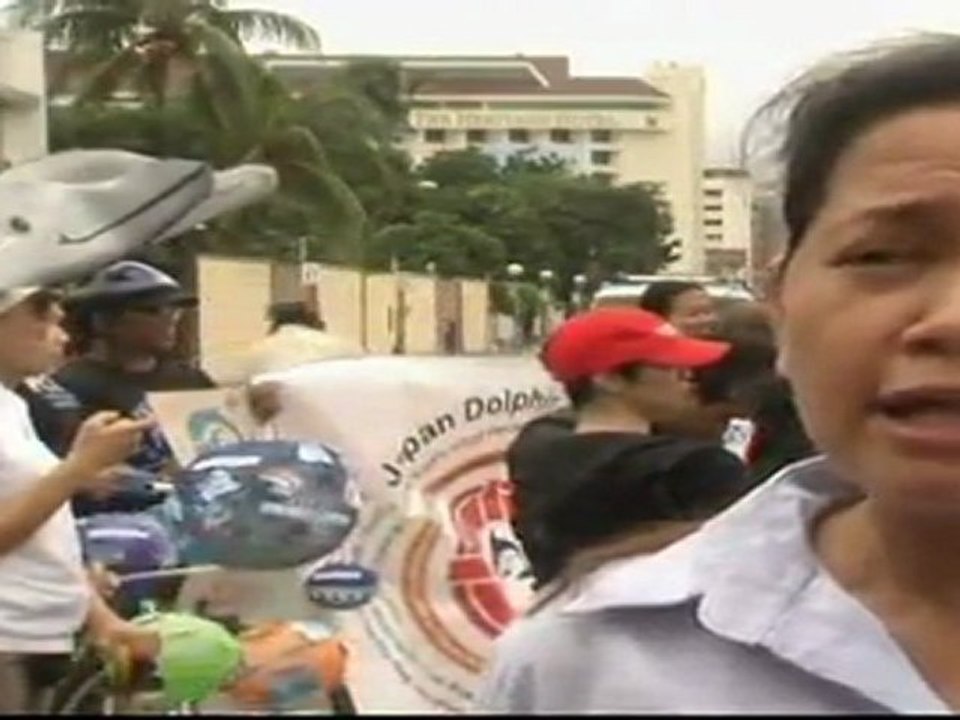 Activists protest Japan dolphin hunting