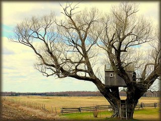 Ahmet Selçuk İlkan & Coşkun Sabah - Anılar