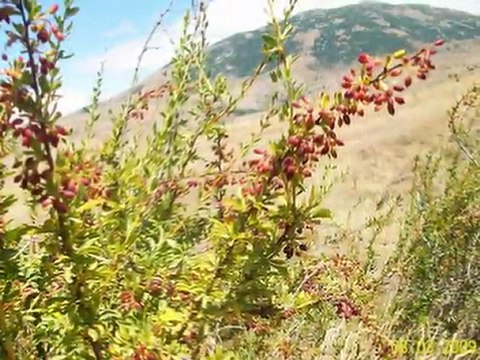 Yıldız Beldesi Yıldız Dağı SİVAS