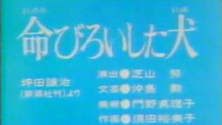 0301 命びろいした犬