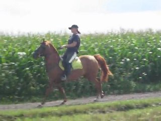 encore un galop