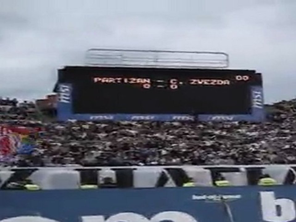 PARTIZAN GROBARI MADNESS(Ooo Partizane...)