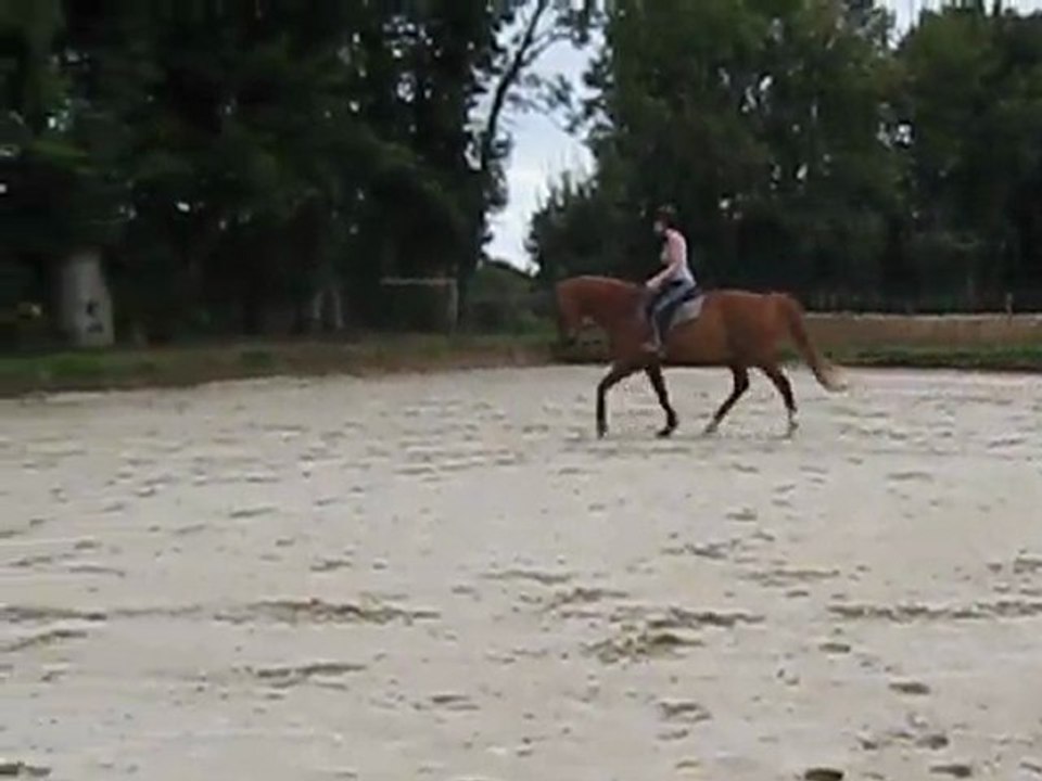 Trot de détente