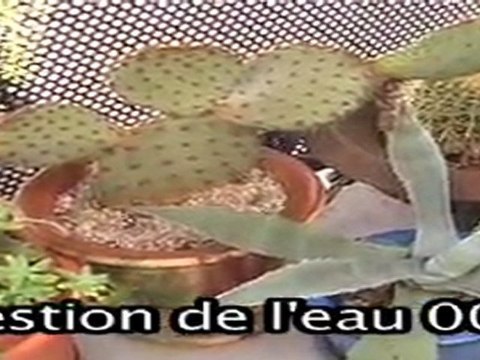 jardins-eau panavision-1