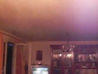 Le vol de la chauve-souris