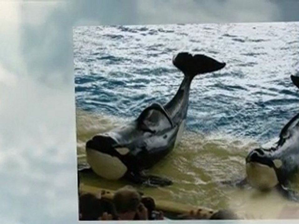 Tenerife Vacation tips for travellers