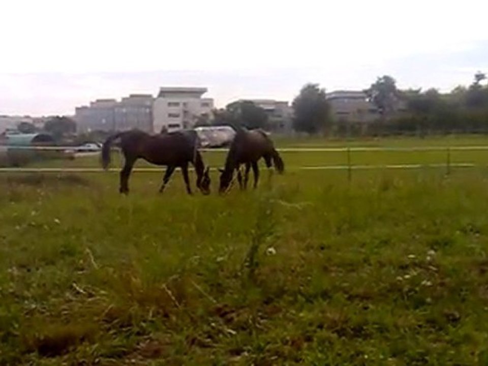01092011091 vid 3