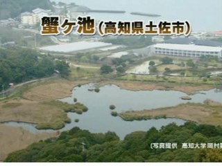 20110901「揺らぐ津波想定」高知でも波高50m以上の大津波再来がありうる