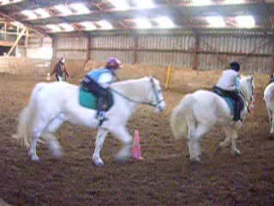 2 eme cours poney