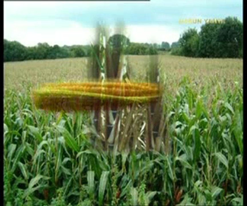 Kusursuz bir tasarım: Gözenekler