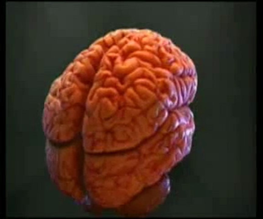 Tat alma sistemindeki muhteşem tasarım 1