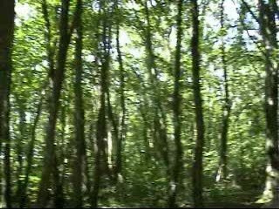 champs de bosses Aubergenville 1