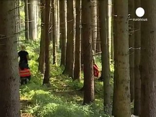 Wanted cow caught after three months on the run