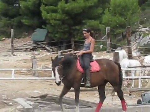 Laura 1 sept 11 flexions encolure main droite