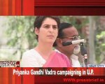 Priyanka Gandhi Vadra campaigning in Amethi (U.P)