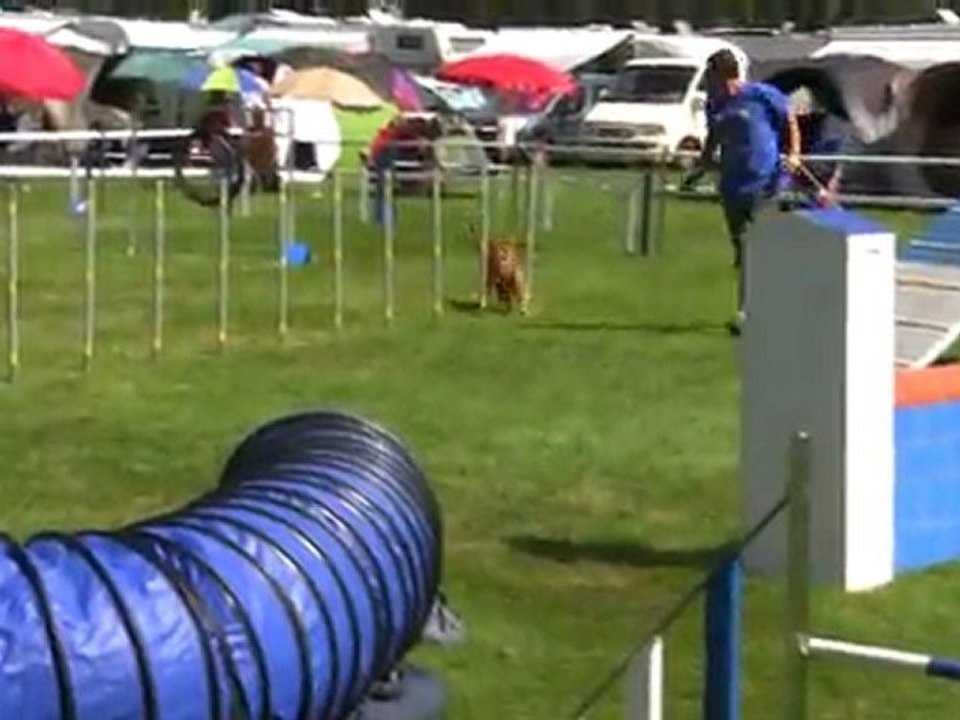 Kawa Agility 3 Couvet 21/08/2011