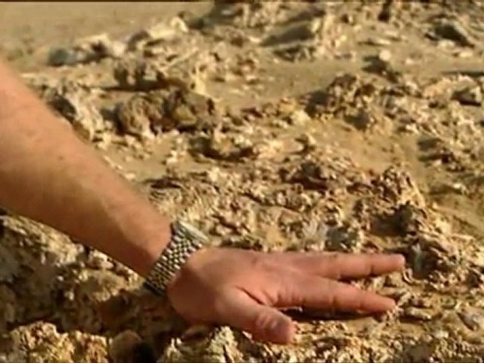 Die erben der saurier e01special triumph of the beasts