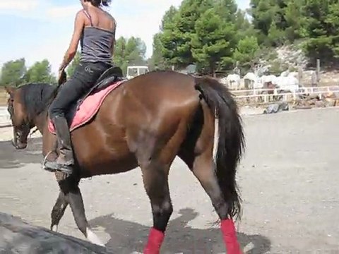 détente trot main droite