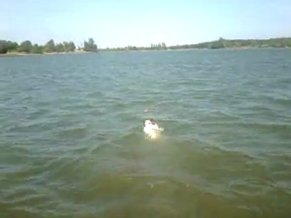 Emy dans le lac