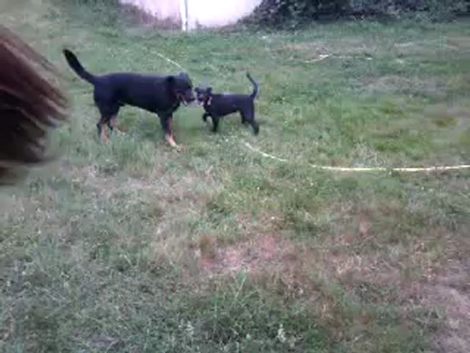 Lou' & Choukie, bagaaaaaarre ! :D
