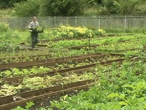 The Green Valley Project reaches national lottery Awards Final 2011