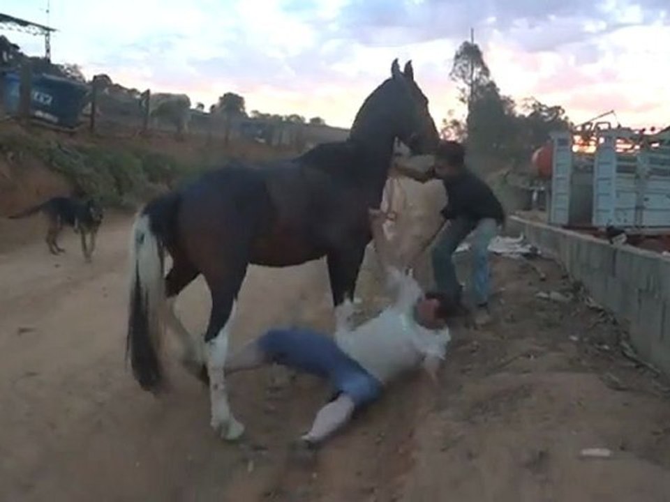 Szorén ein lovat FAIL!