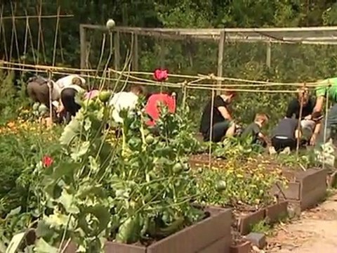 OPAL reaches national lottery Awards Final 2011