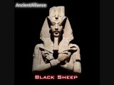 Hip Hop - Black Sheep by Ancient Alliance