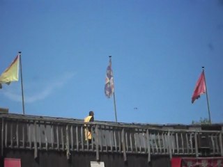 Zoo D'Amnéville: Spectacle Des Rapaces 5