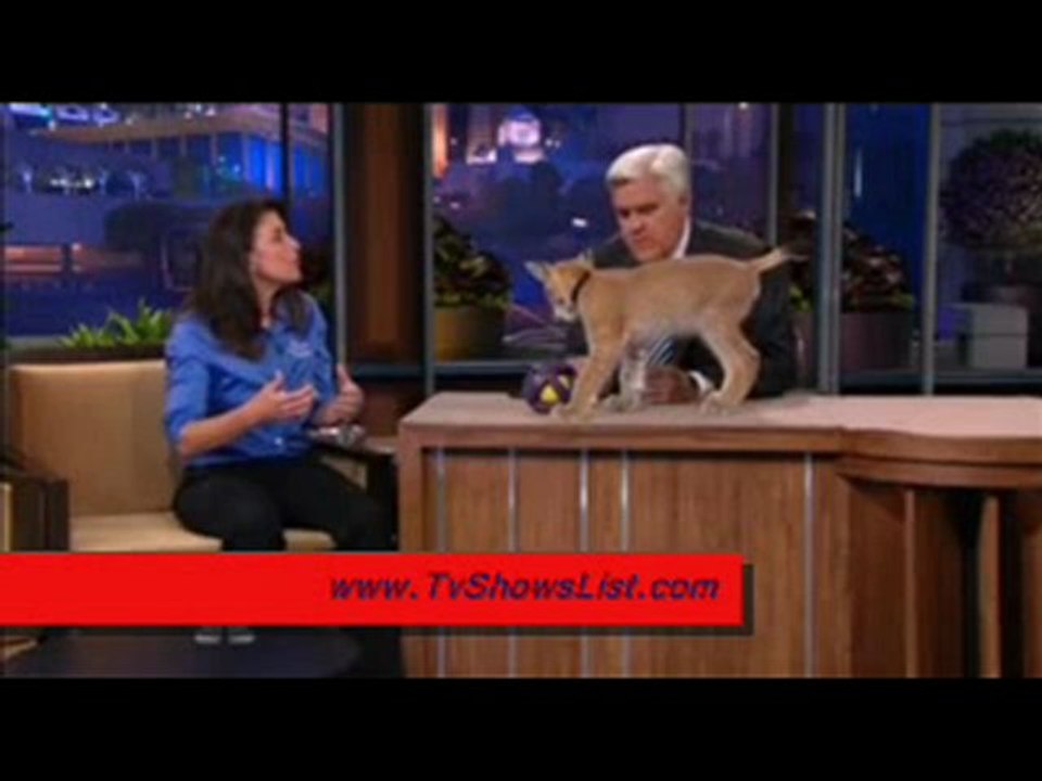 The Tonight Show with Jay Leno Season 19 Episode 149 'Julie Scardina and animals, David Koechner, Cake'
