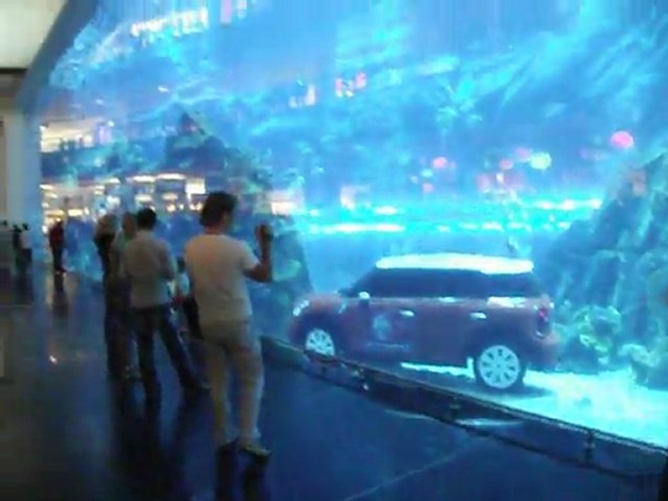 dubai aquarium