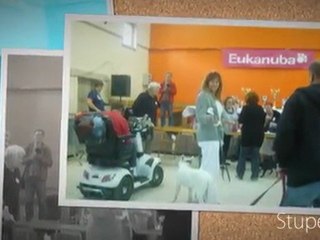 tongre-notre-dame 2010