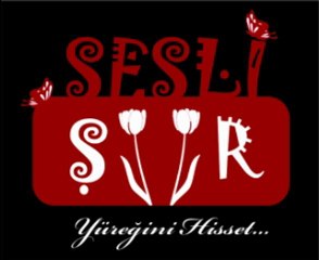 Sor Çanakkaleye Anlatsın Sana