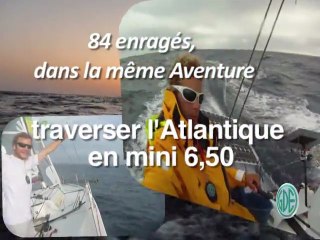 nicoboidevezi pour la Transat 650 !