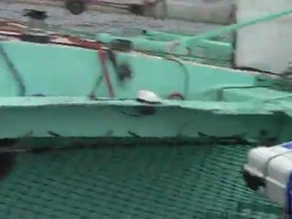 MOV005