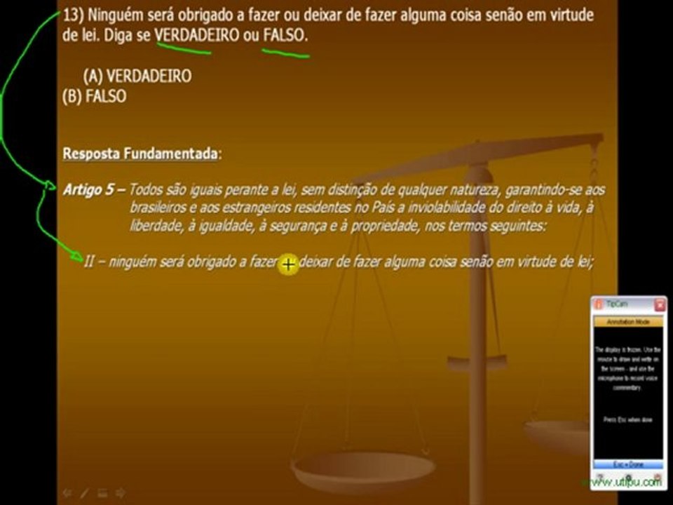 DIREITO CONSTITUCIONAL - QUESTÃO 13