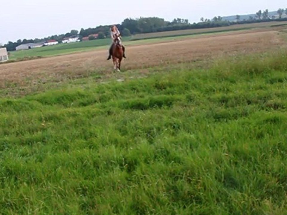 Ma Flicka qui veut me jerter ^^♥♥