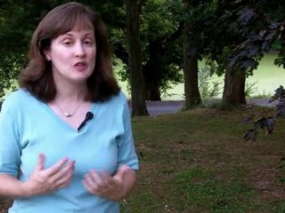 Video Blogging Equipment