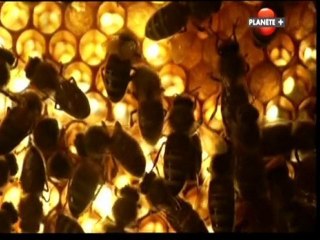 Mondes invisibles (Les ondes) 3/3