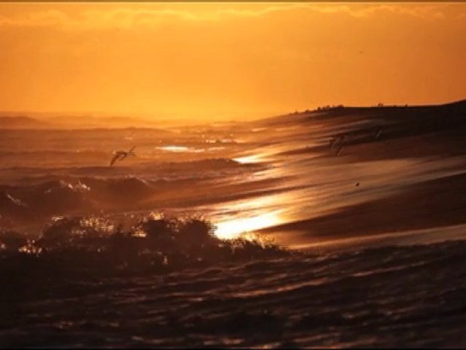 surfside_01