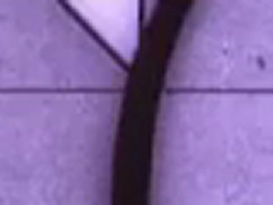 Vancouver Computer Repair Services - Office Network Support and Repairs - Tel: 778 232 6633