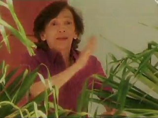 El clon telemundo promo