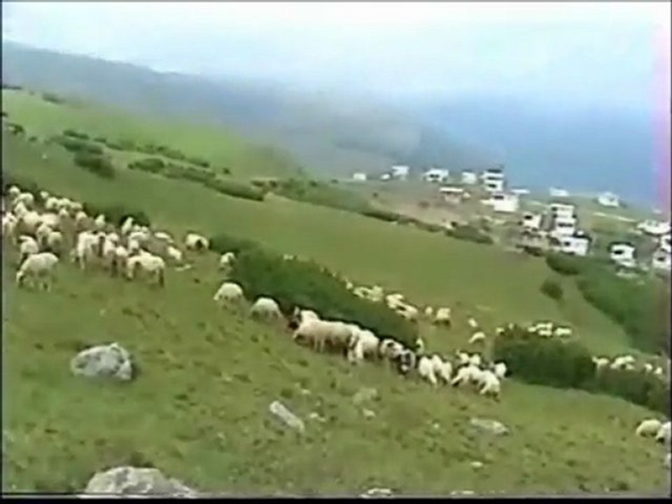 AYŞEGÜL PINAR(SEVDAMIZ TOKAT)