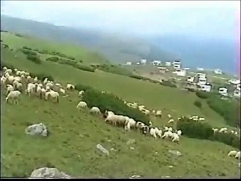 AYŞEGÜL PINAR(SEVDAMIZ TOKAT)