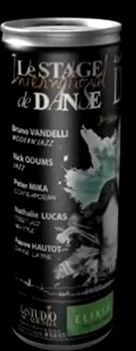 STAGE INTERNATIONAL DE DANSE DE LYON 3d